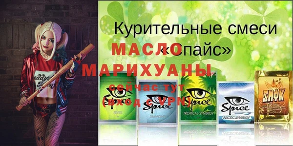 spice Богородицк